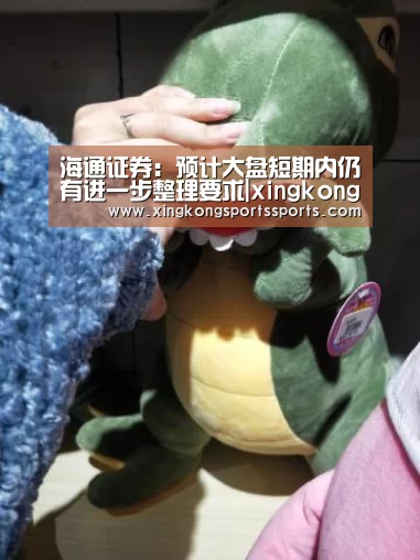 海通证券:预计大盘短期内仍有进一步整理要求|xingkongyule(图2) 星空体育网站