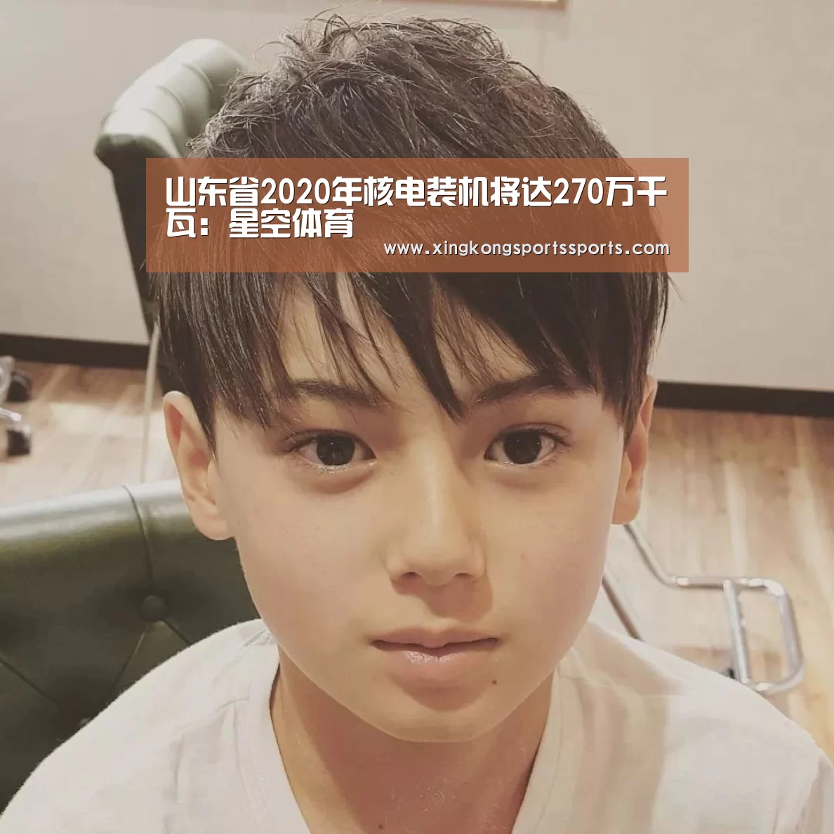 山东省2020年核电装机将达270万千瓦:星空体育(图2) 星空体育