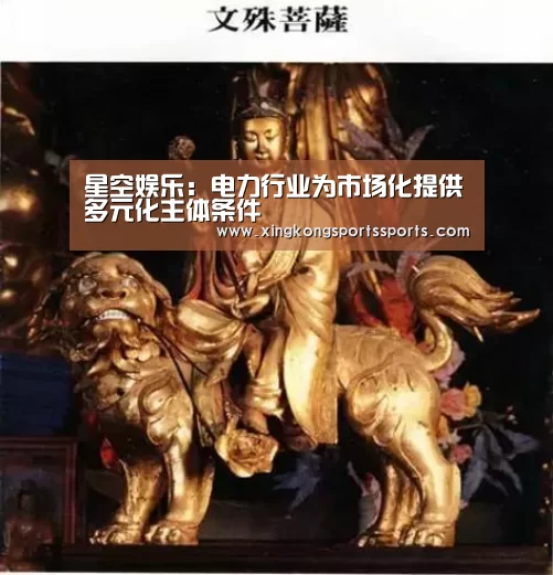 星空娱乐：电力行业为市场化提供多元化主体条件